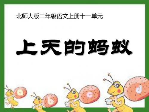 《上天的蚂蚁》PPT课件4