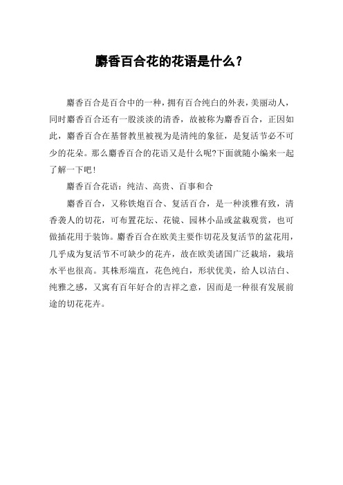 麝香百合花的花语是什么？
