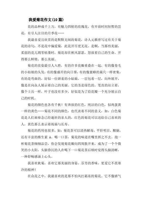 我爱菊花作文(10篇)精选