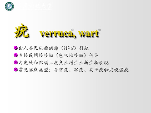 皮肤病学之 疣PPT演示课件