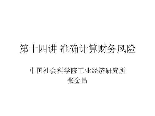 第十四讲准确计算财务风险