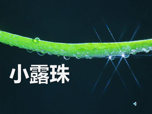 《小露珠》PPT课件