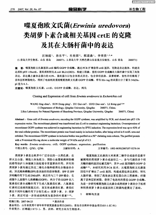 噬夏孢欧文氏菌(Erwinia uredovora)类胡萝卜素合成相关基因crtE的克隆及其在大肠杆菌中的表达