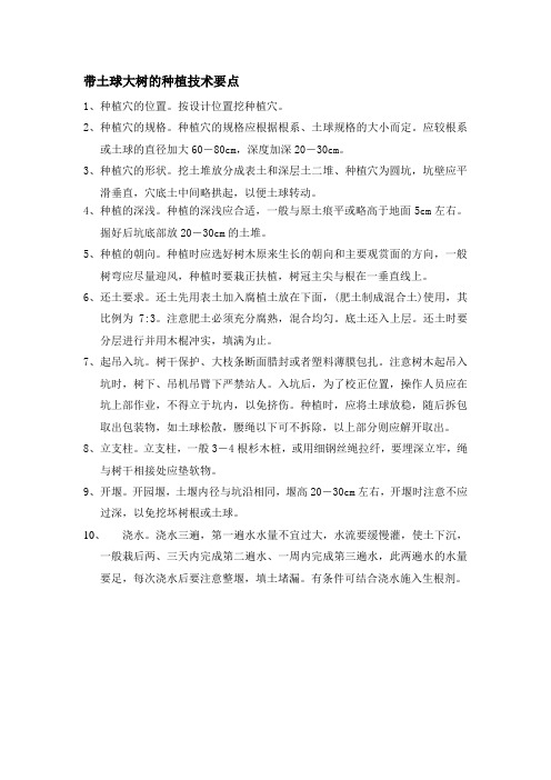 带土球大树的种植技术要点
