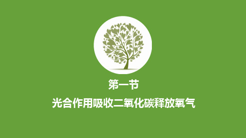 教学课件：光合作用吸收二氧化碳放出氧气(优质课)