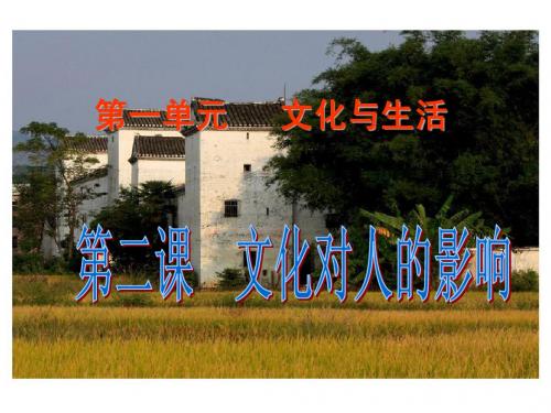 政治：第二课《文化对人的影响》课件(新人教版必修3)
