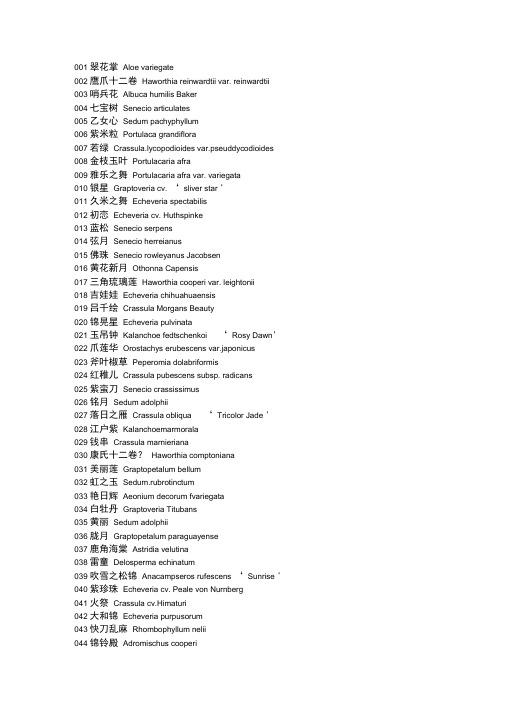 常见多肉学名