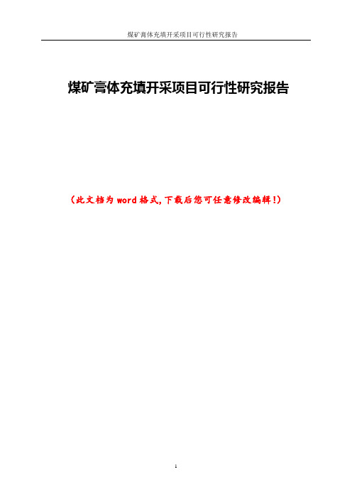煤矿膏体充填开采项目可行性研究报告