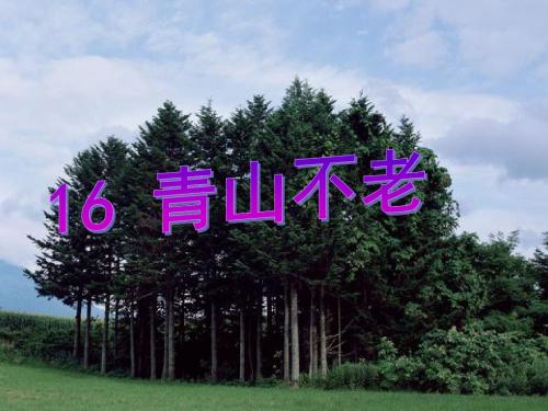 人教版小学语文六年级上册 16青山不老 ppt课件
