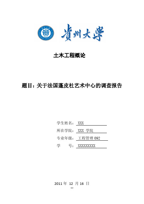 法国蓬皮杜艺术中心调查报告