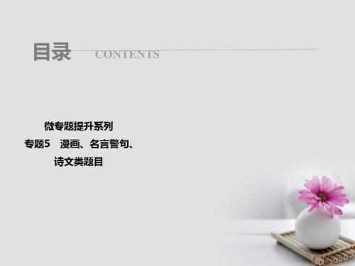 2018年高考政治总复习微专题提升系列漫画、名言警句、诗文类题目课件
