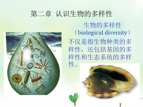 认识生物的多样性PPT教学课件