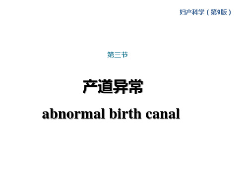 产道异常课件