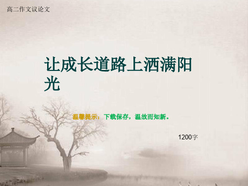 高二作文议论文《让成长道路上洒满阳光》1200字