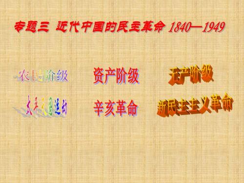 高一历史必修一人民版专题三课件：二 辛亥革命(共23张PPT)