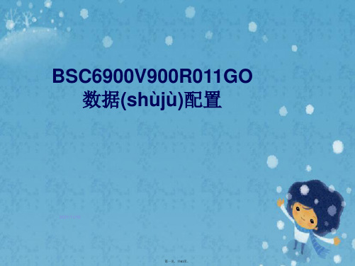 BSC6900V900R011GO数据配置