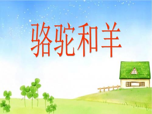 骆驼和羊课件