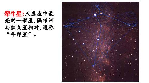 【精品课件】五年级上册语文课件 链接1：牵牛星和织女星新课标改编版_1-1
