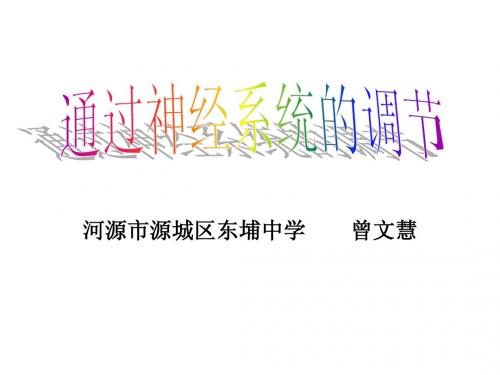 通过神经系统的调节ppt.