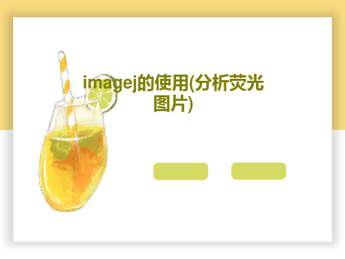 imagej的使用(分析荧光图片)共44页