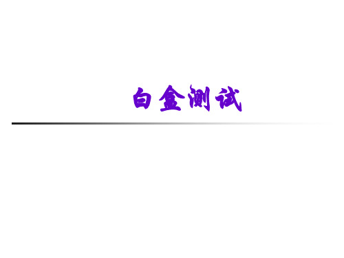 白盒测试