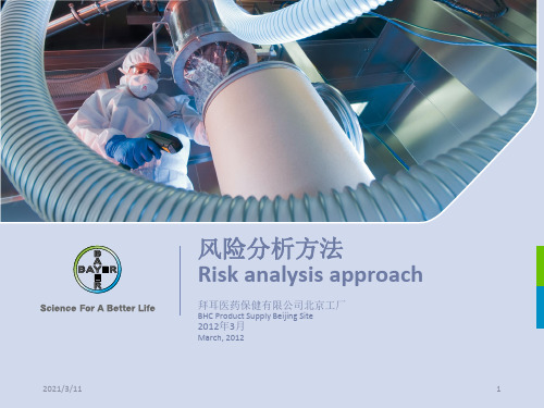 风险分析方法BAYER