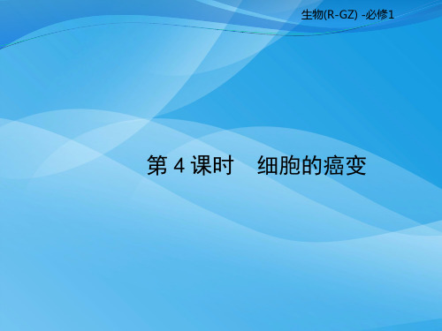 高中生物必修一第6章《细胞的生命历程》ppt课件(人教版5份)(4)生物课件PPT