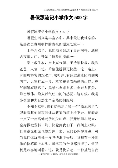 暑假漂流记小学作文500字
