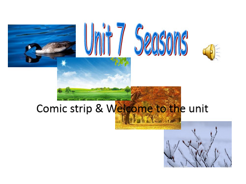 牛津译林英语 八年级上册Unit7Welcome to the unit(共18张PPT)