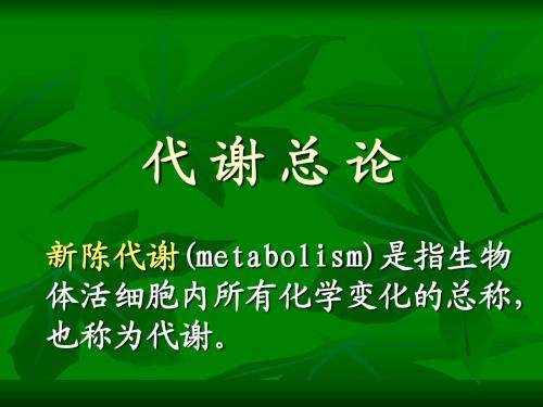 代谢总论