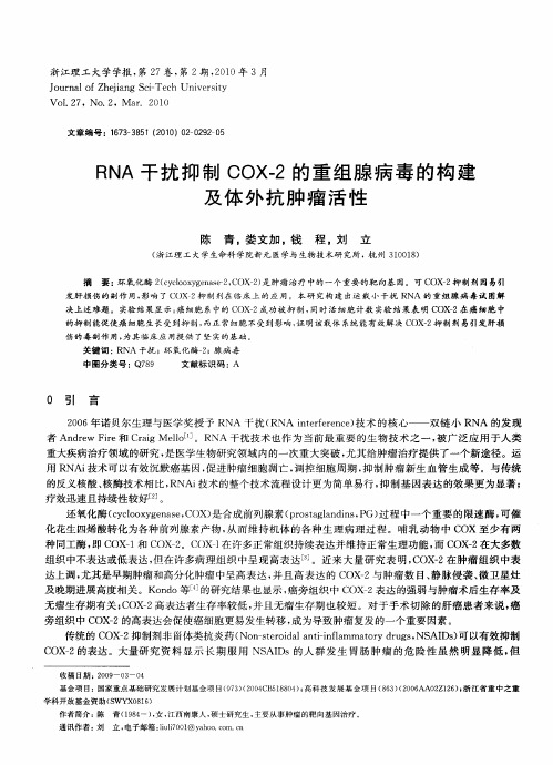 RNA干扰抑制COX-2的重组腺病毒的构建及体外抗肿瘤活性