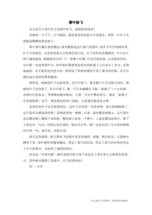 落叶纷飞_初中作文