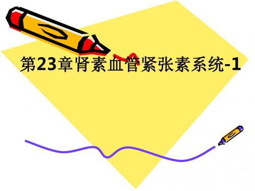 第23章肾素血管紧张素系统-1ppt课件