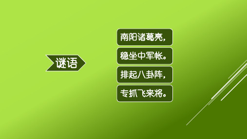 特种经济动物—蜘蛛讲解