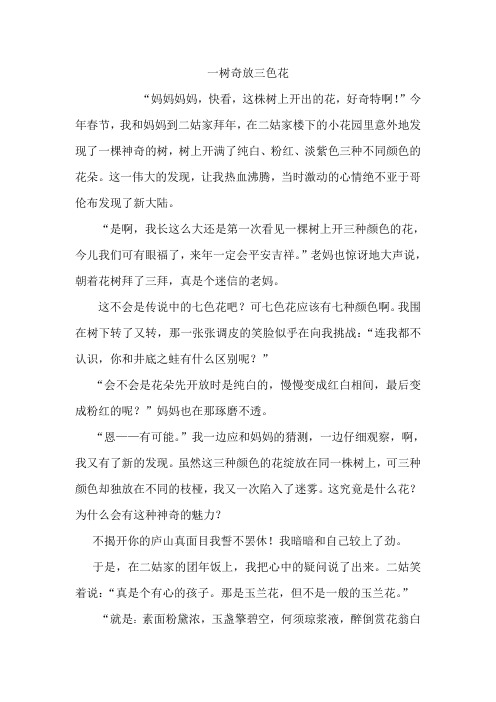 一株树上三色花