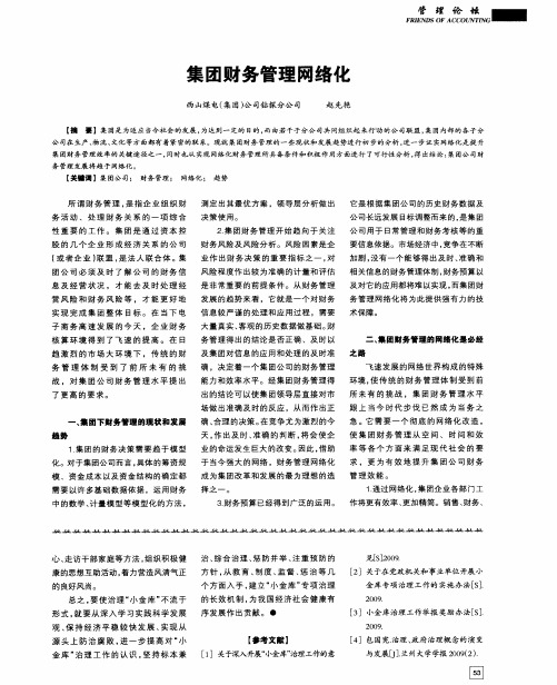 集团财务管理网络化