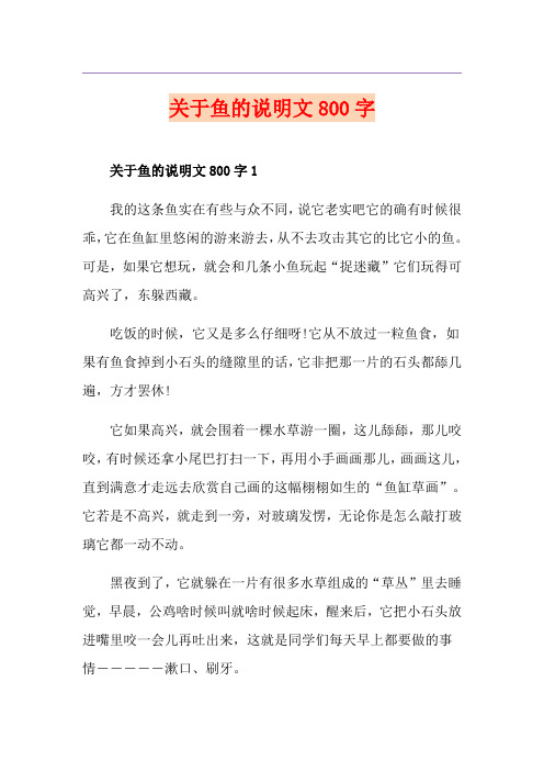 关于鱼的说明文800字