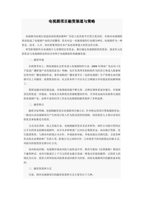 电视剧项目融资渠道与策略