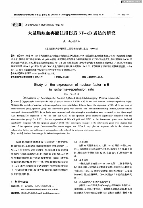 大鼠脑缺血再灌注损伤后NF-κB表达的研究