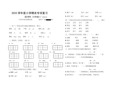 统编人教部编版小学语文六年级下册语文字词专项达标测试卷(含答案)人教(部编)版