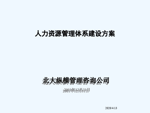 北大纵横公司人力资源管理体系建设方案