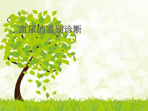 血尿诊断思路 课件