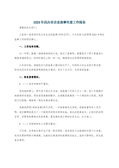 2023年民办非企业监事年度工作报告
