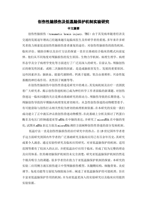 创伤性脑损伤及低温脑保护机制实验研究(精)