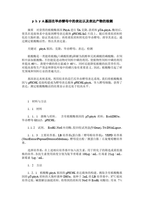 phyA基因在毕赤酵母中的表达以及表达产物的检测