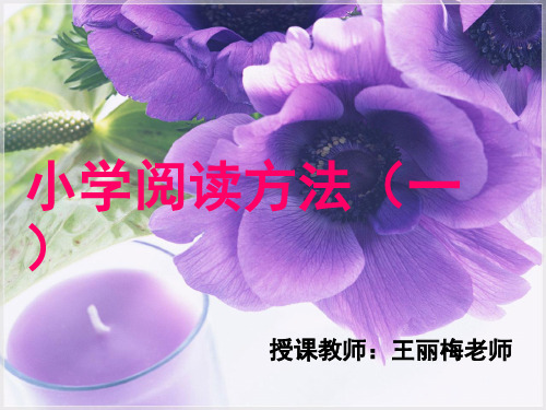 小学四升五阅读训练(课堂PPT)