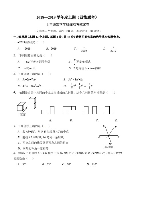 北师大版2018—2019学年度上期(四校联考)七年级数学学科模拟考试试卷附答案