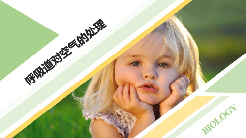 最新七年级生物下册《呼吸道对空气的处理》优质课件