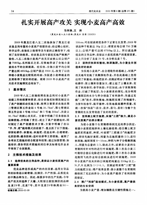 扎实开展高产攻关 实现小麦高产高效
