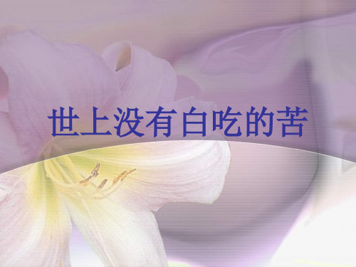 “世上没有白吃的苦”